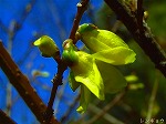 20070322 14.jpg